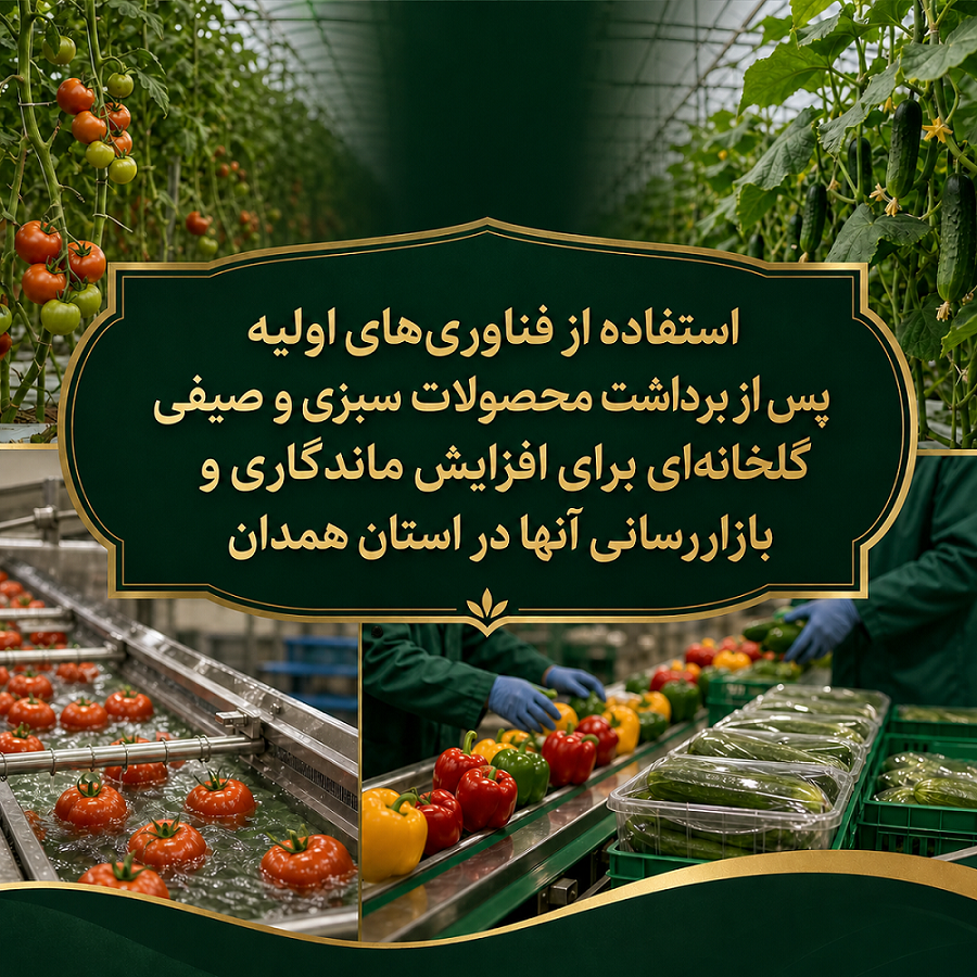 استفاده از فناوری‌های اولیه پس از برداشت محصولات سبزی و صیفی گلخانه‌ای برای افزایش ماندگاری و بازاررسانی آنها در استان همدان