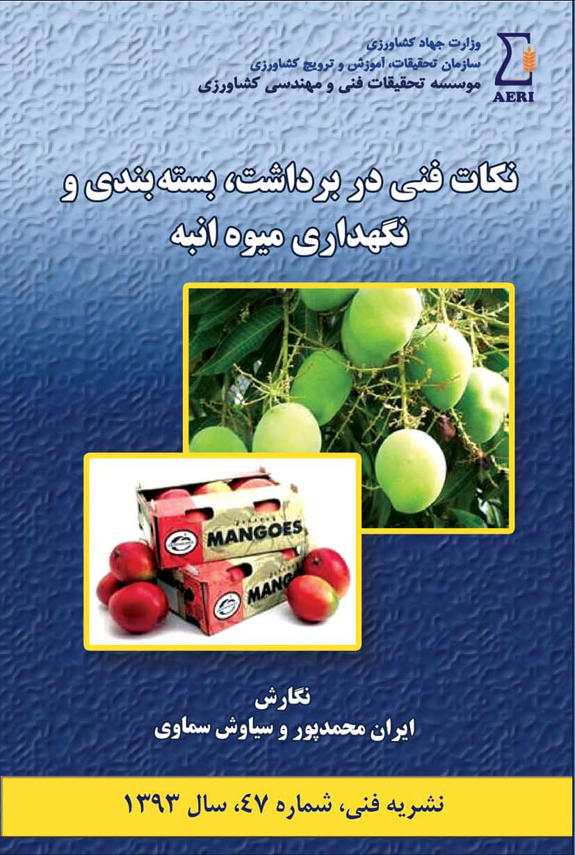 نکات فنی در برداشت، بسته بندی و نگهداری میوه انبه