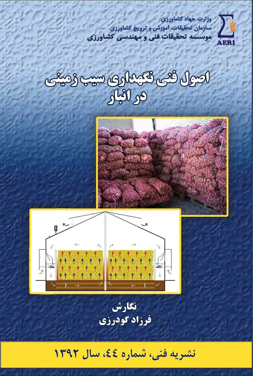 اصول فنی نگهداری سیب زمینی در انبار