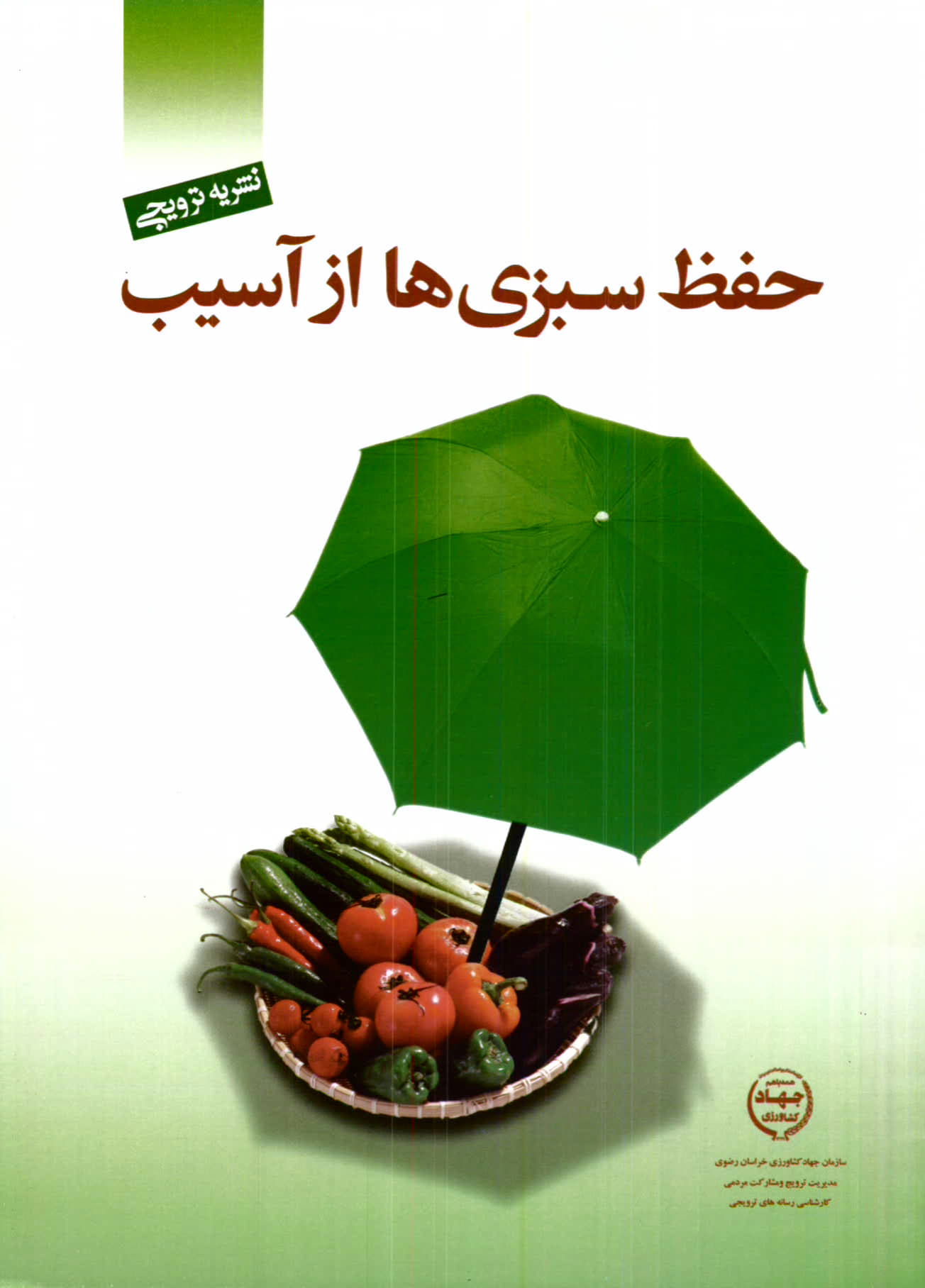 حفظ سبزی از آسیب