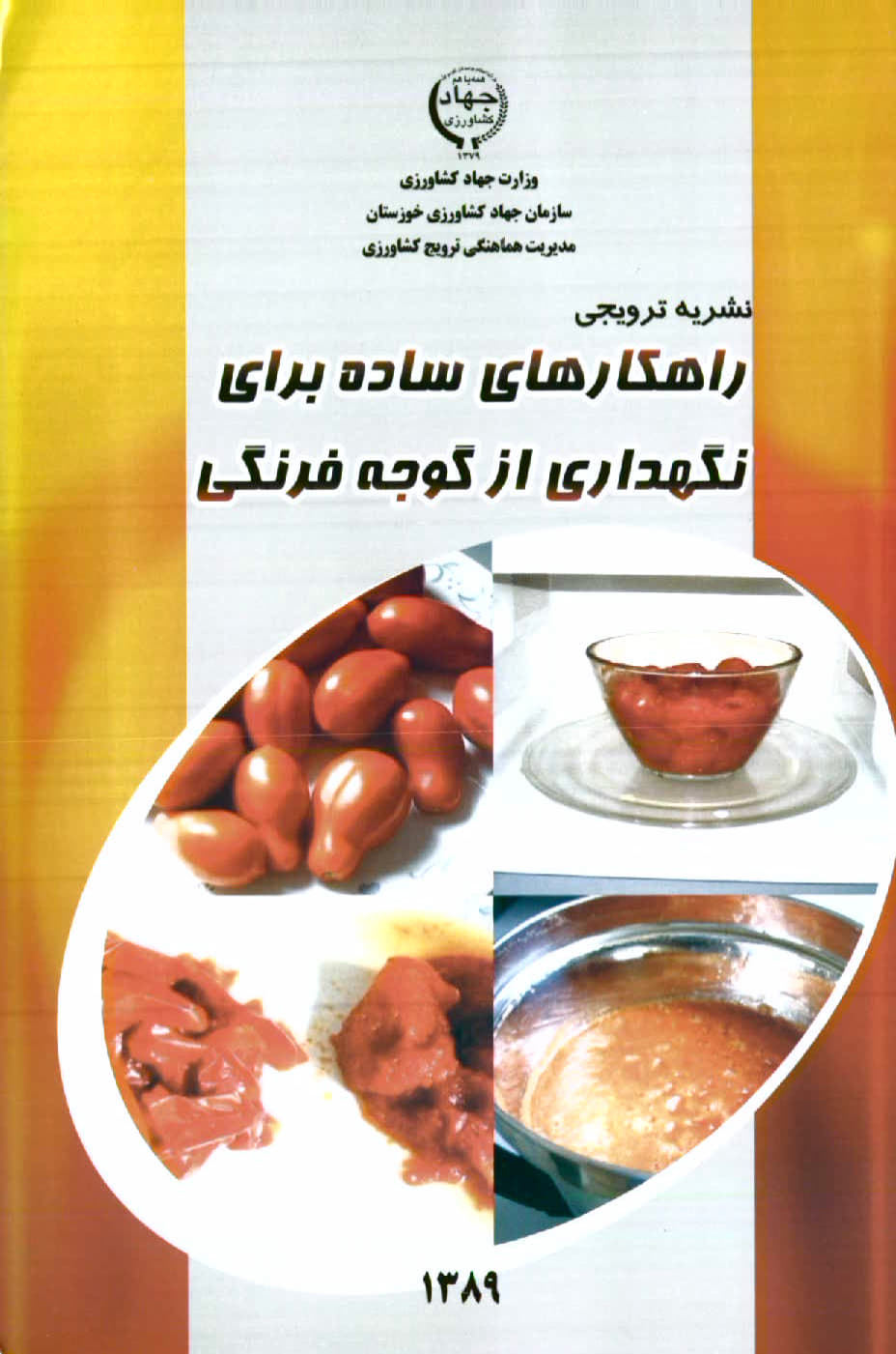 راهکارهای ساده برای نگه‌داری از گوجه فرنگی