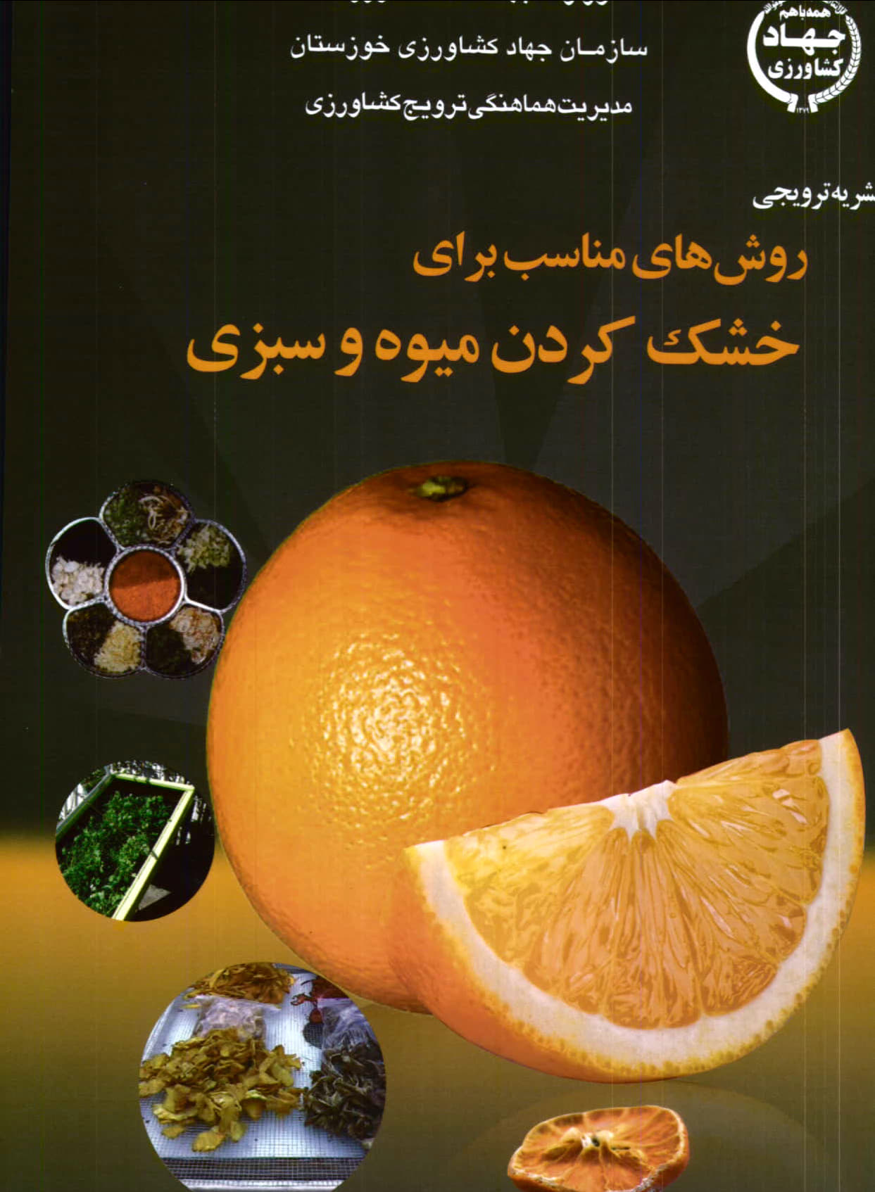 روش های مناسب برای خشک کردن میوه و سبزی