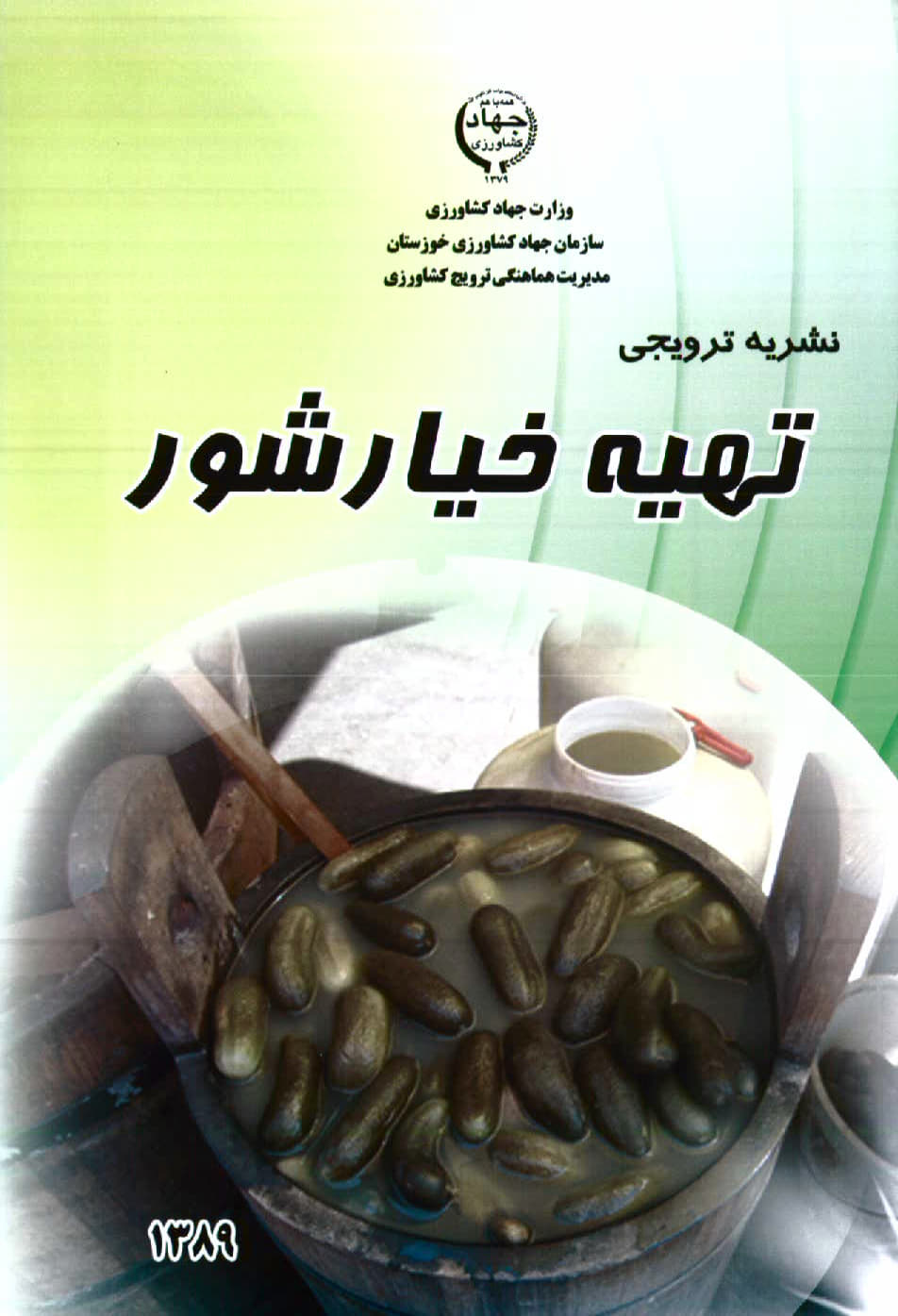 تهیه خیار شور