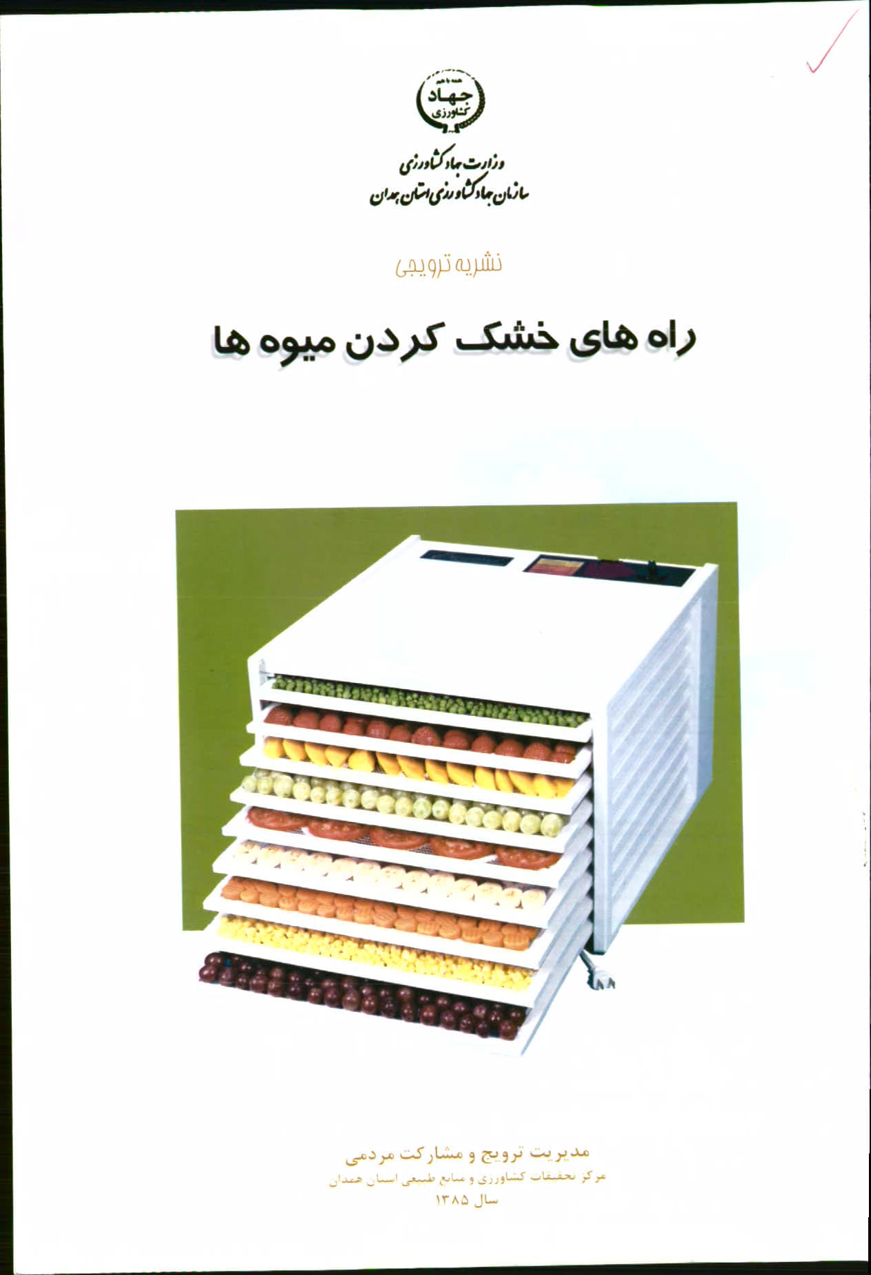 راه های خشک کردن میوه ها
