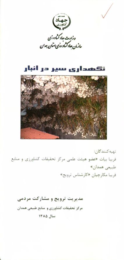 نگه‌داری سیر در انبار