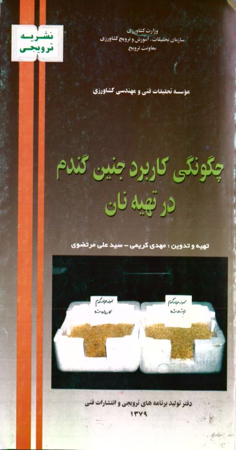 کاربرد جنین گندم در تهیه نان