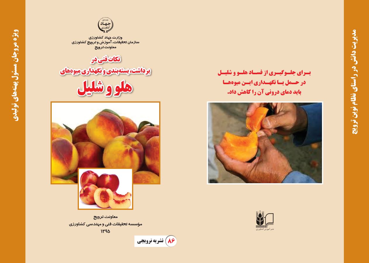 برداشت، بسته بندی و نگه‌داری هلو و شلیل