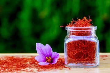 شرایط نگه‌داری و بسته بندی پیاز زعفران