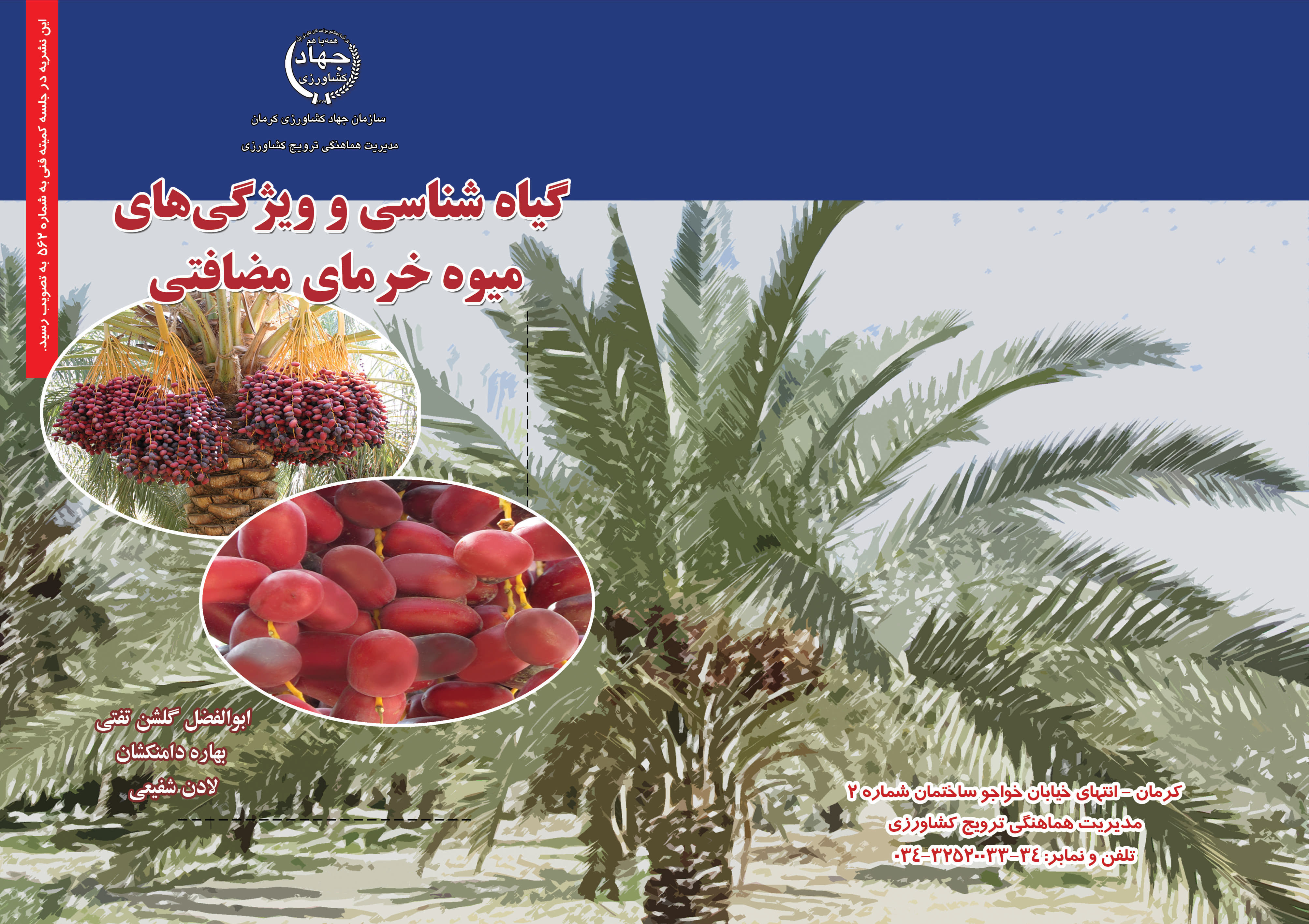 ویژگی های خرمای مضافتی