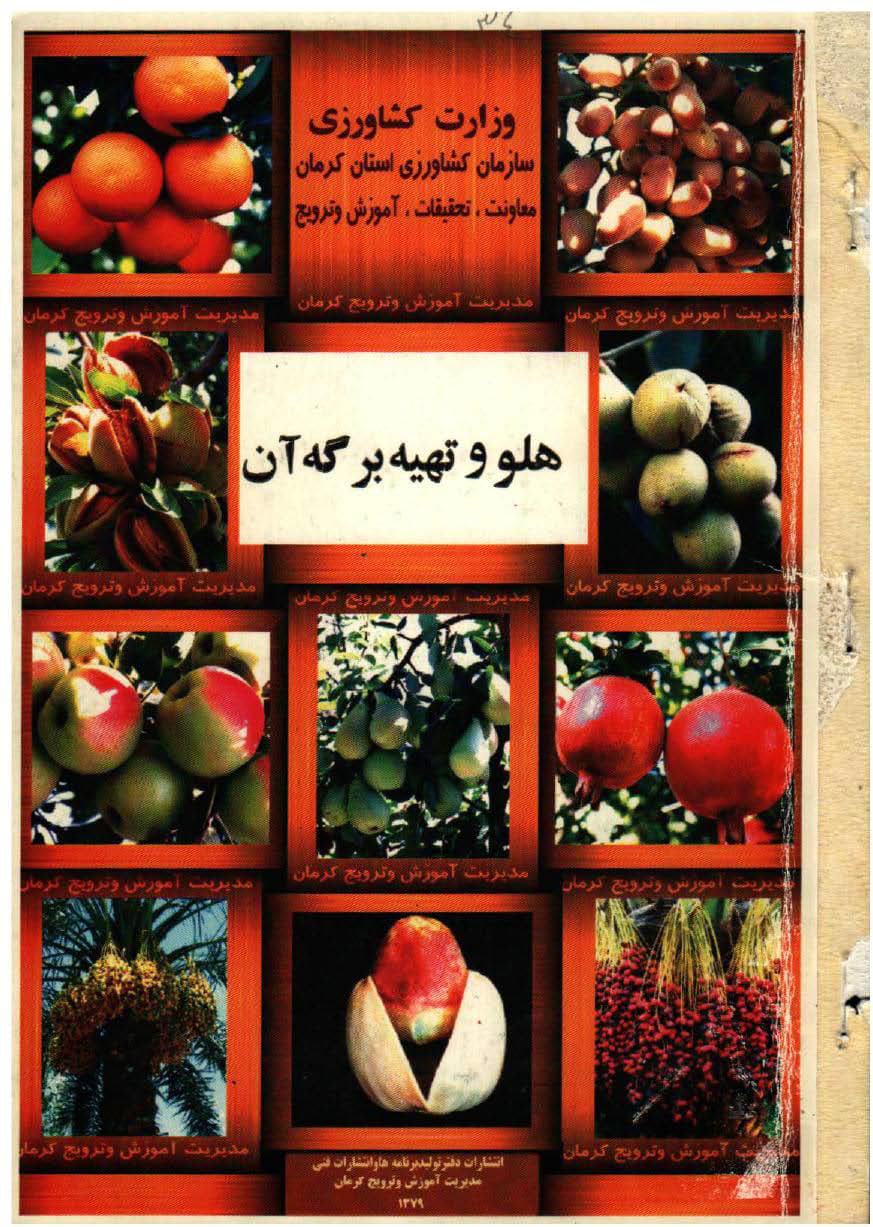 هلو و تهیه برگه آن