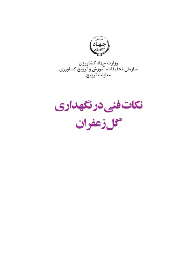نکات فنی در نگه‌داری گل زعفران