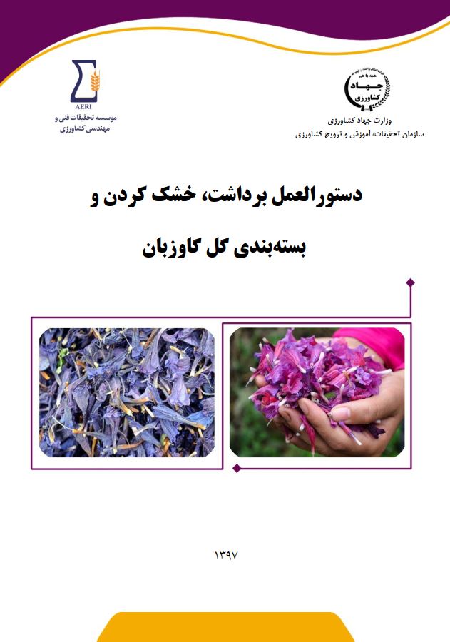 برداشت، خشک کردن و بسته بندی گل گاوزبان