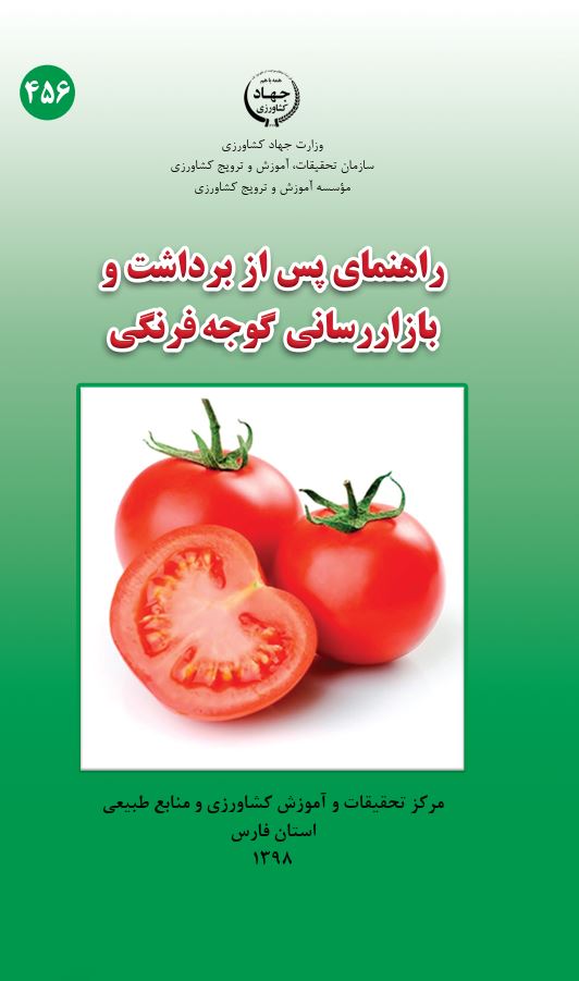 راهنمای پس از برداشت و بازاررسانی گوجه‌فرنگی