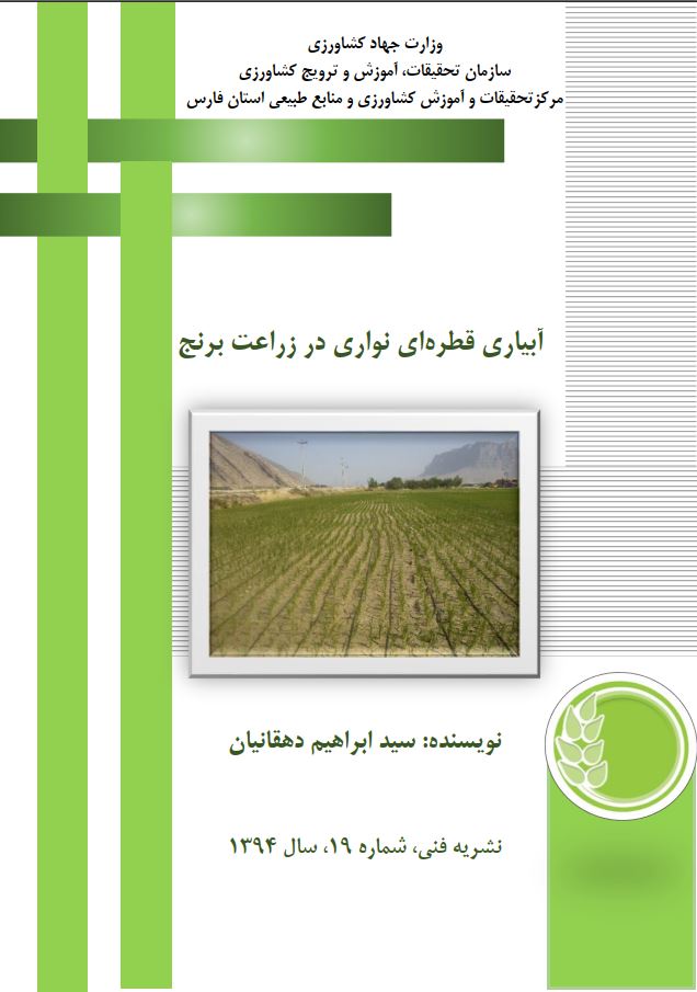 آبیاری قطره‌ای نواری در زراعت برنج
