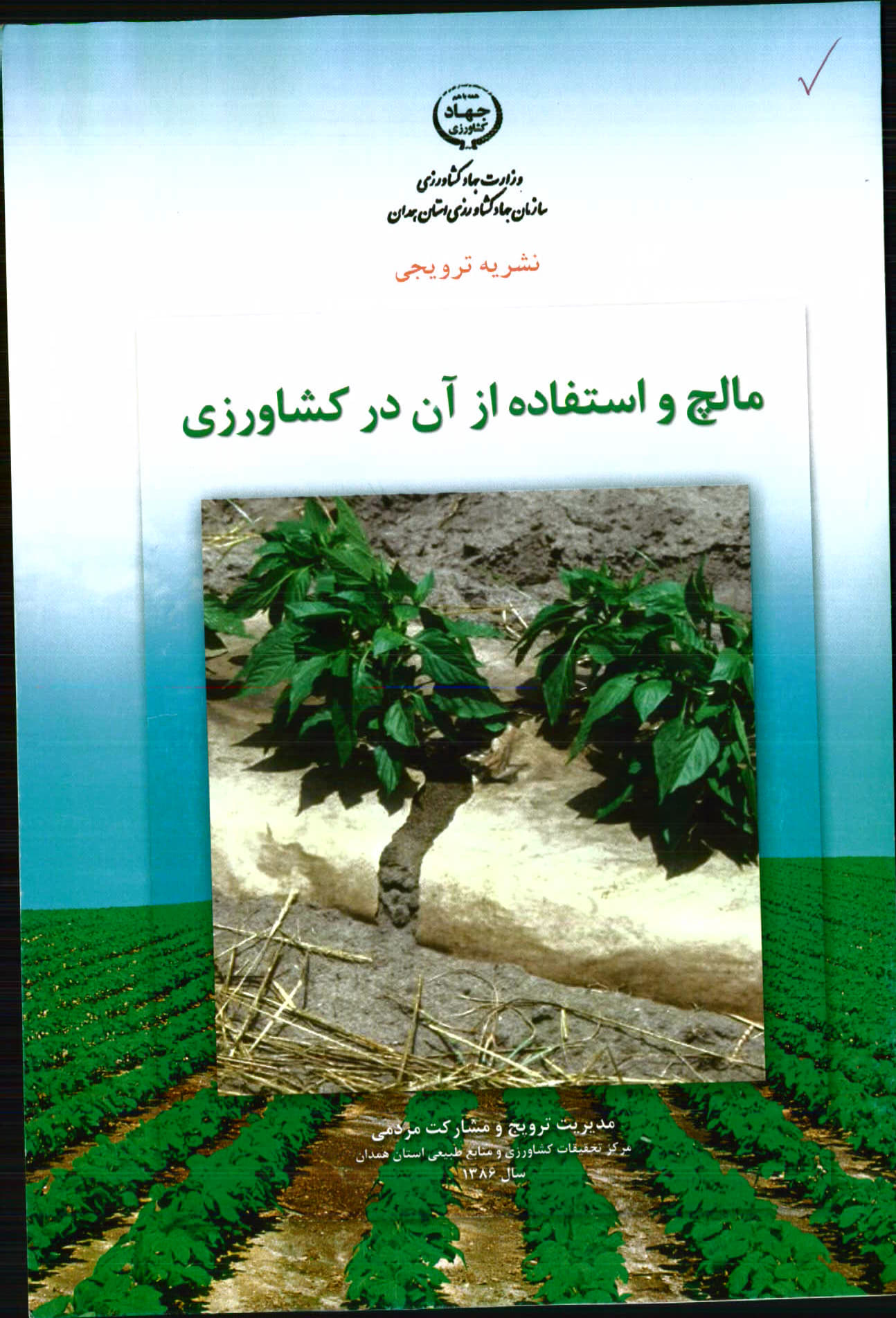 مالچ و استفاده از آن در کشاورزی