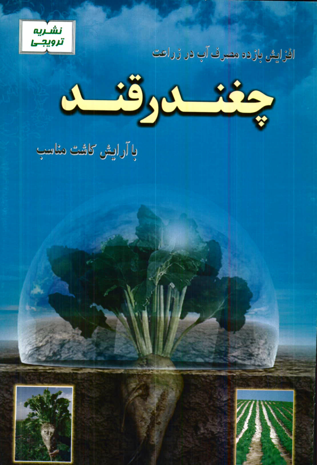 آفزایش بازده مصرف آب در زراعت چغندرقند