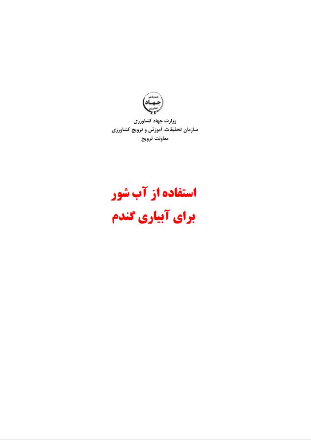 استفاده از آب شور برای آبیاری گندم