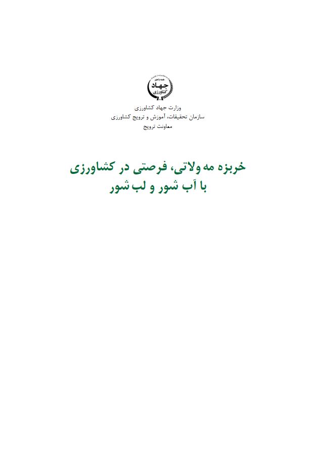 خربزه مه ولاتی