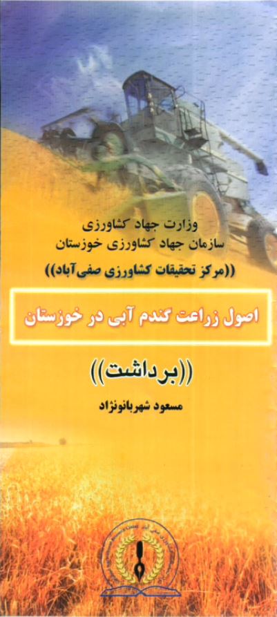 اصول زراعت گندم آبی در خوزستان
