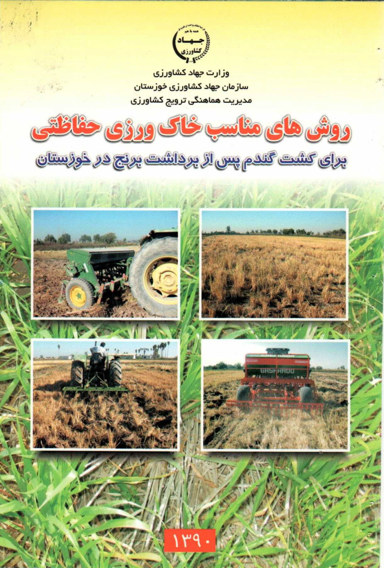 کشت گندم پس از برداشت برنج در خوزستان