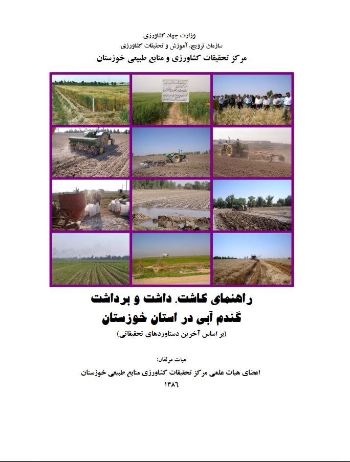 کاشت، داشت و برداشت گندم آبی خوزستان