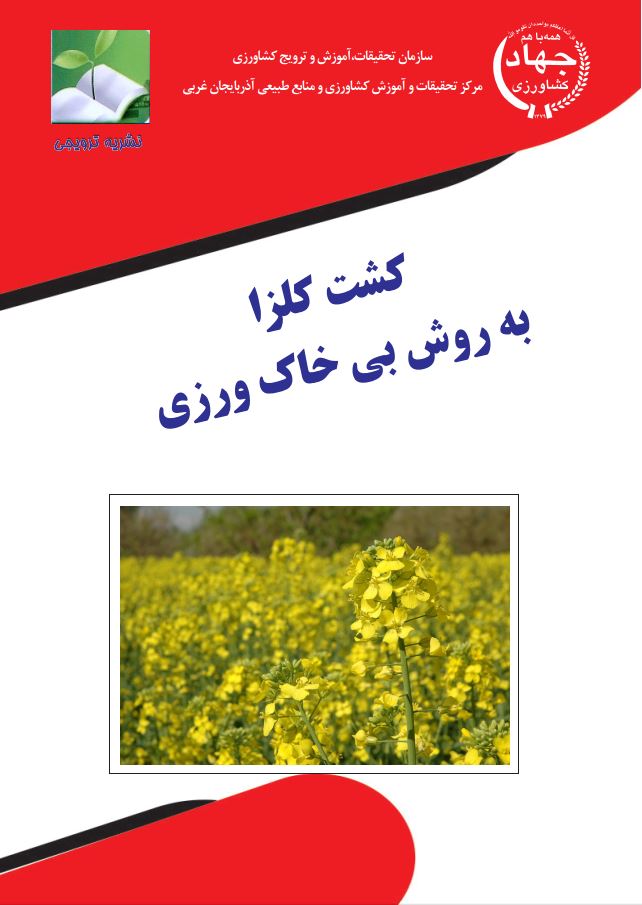 کشت کلزا به روش بی‌خاک‌ورزی