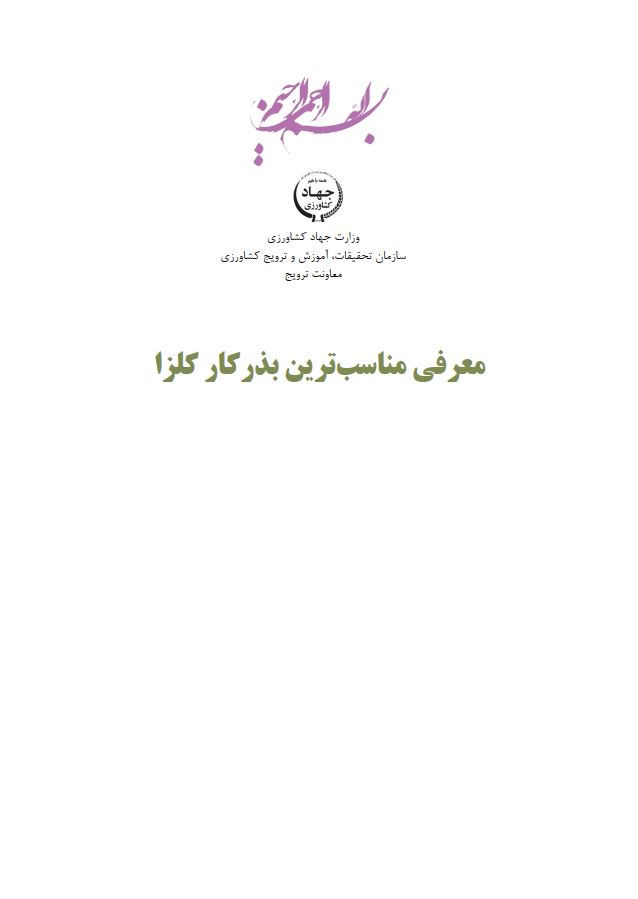 معرفی مناسب‌ترین بذرکار کلزا