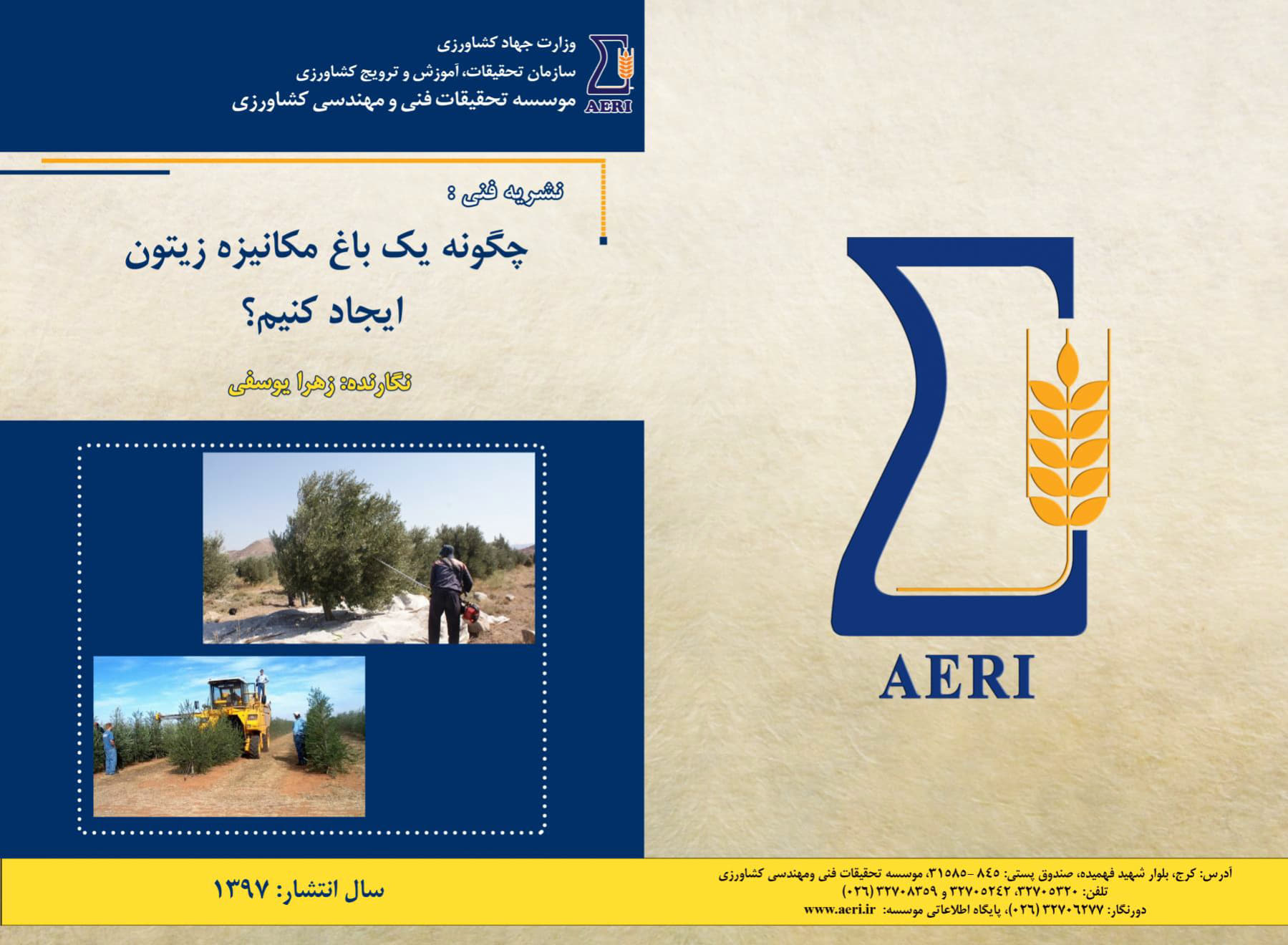 چگونگی ایجاد باغ مکانیزه زیتون