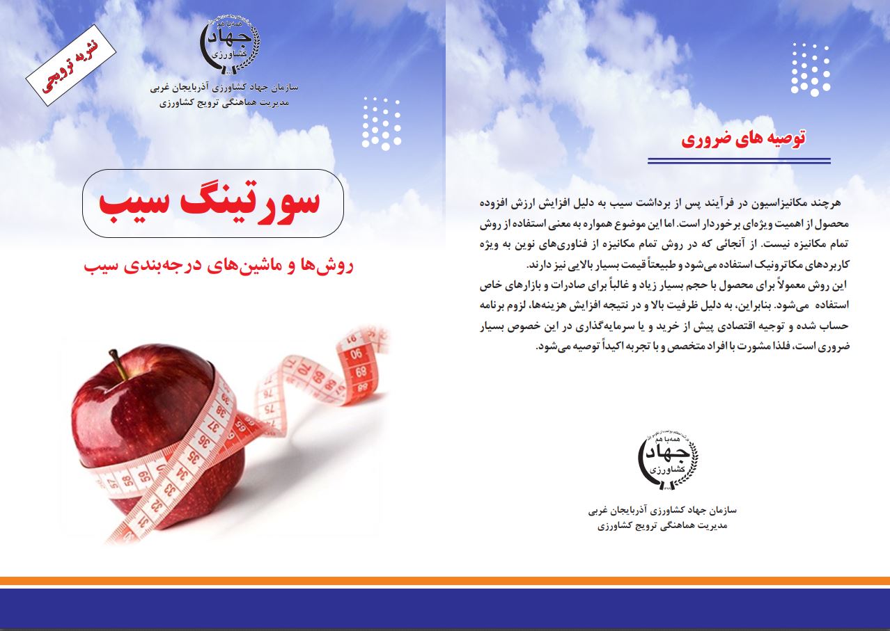 سورتینگ سیب